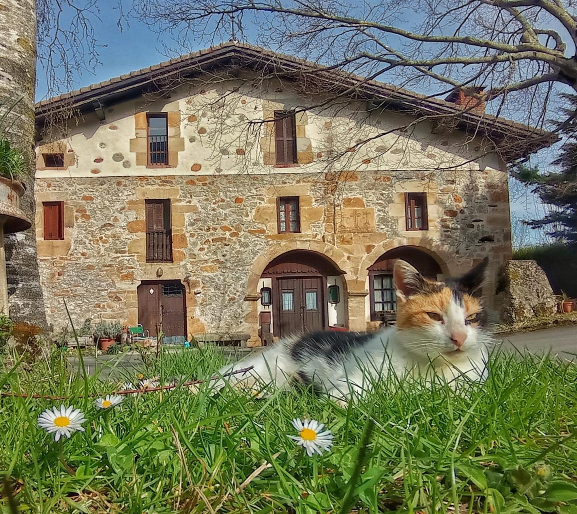 Casa Rural Areano Escoriaza Eksteriør billede