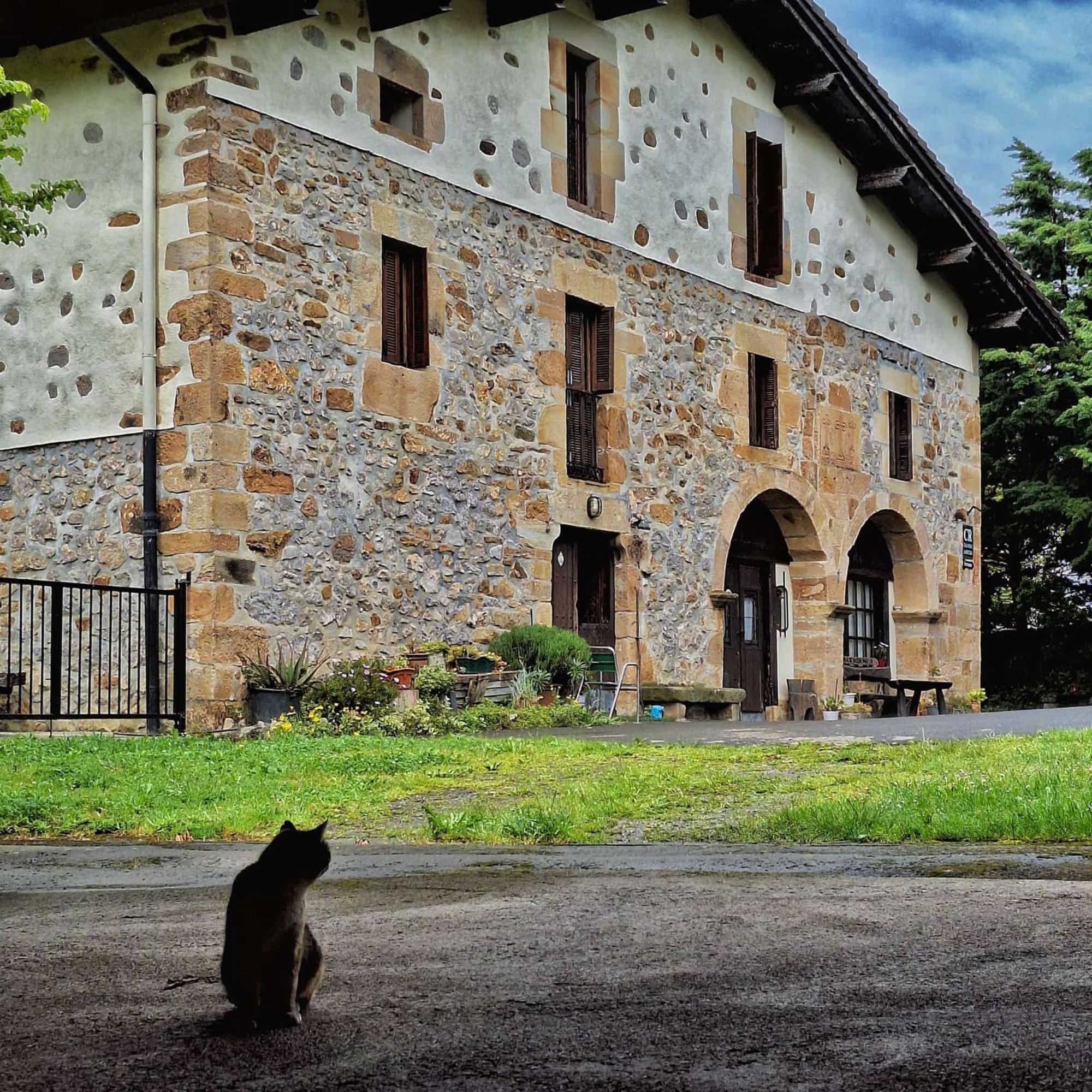 Casa Rural Areano Escoriaza Eksteriør billede