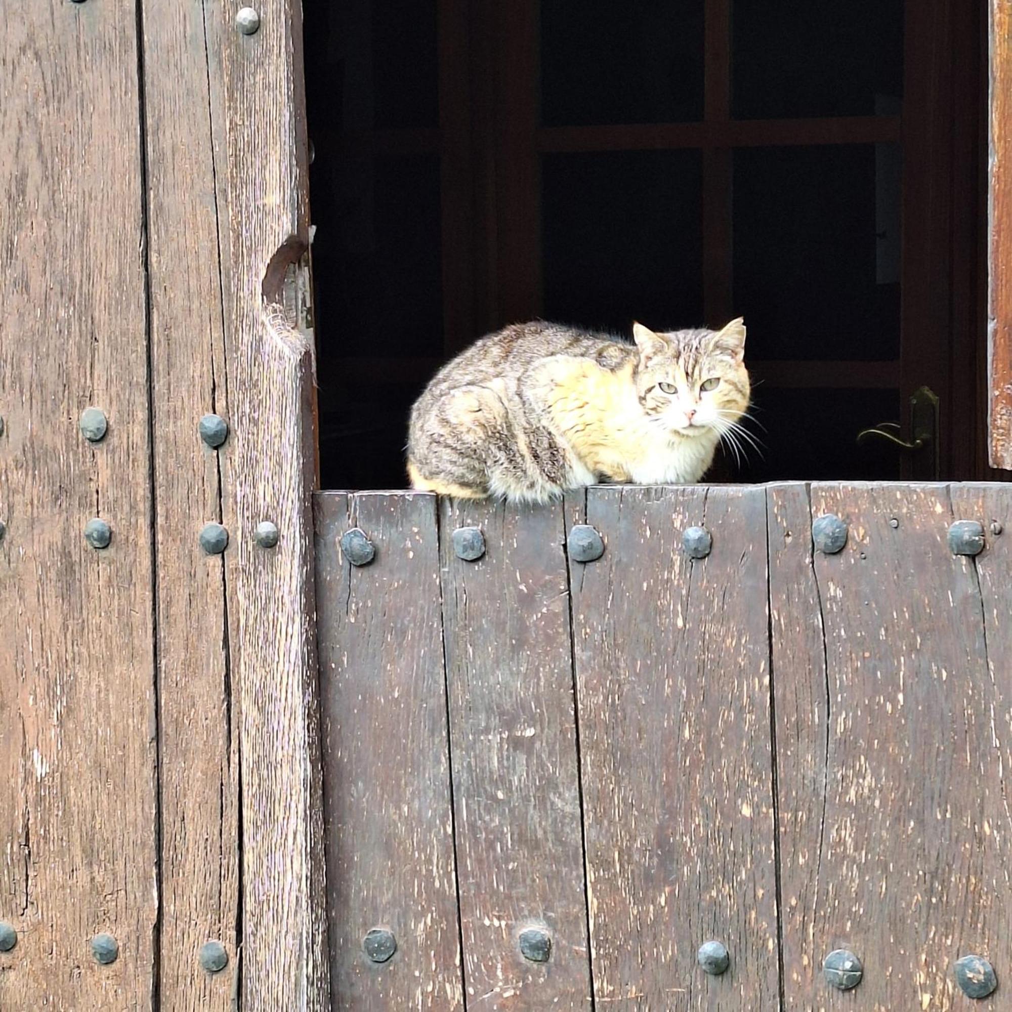 Casa Rural Areano Escoriaza Eksteriør billede