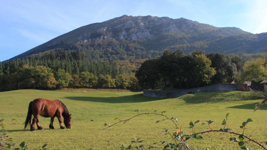 Casa Rural Areano Pensionat Escoriaza Eksteriør billede